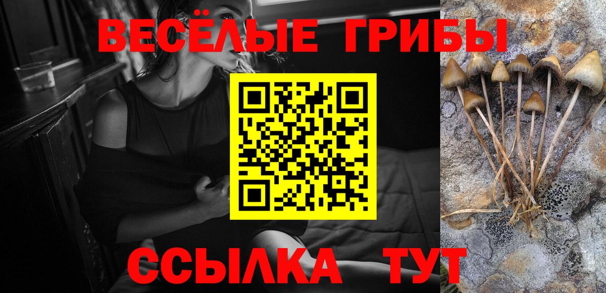 Псилоцибиновые грибы мухоморы Дальнереченск