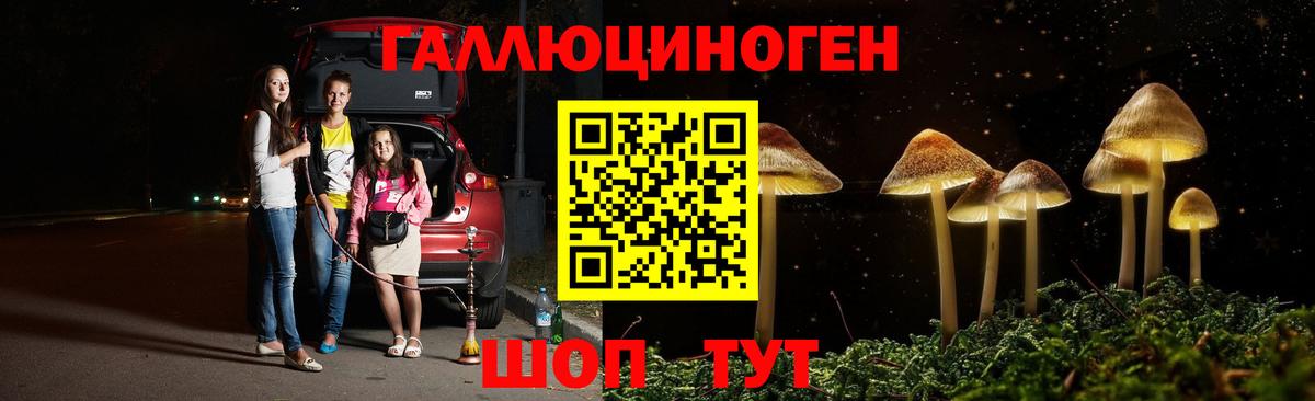 Галлюциногенные грибы GOLDEN TEACHER  Вход с VPN  как найти закладки  Дальнереченск 